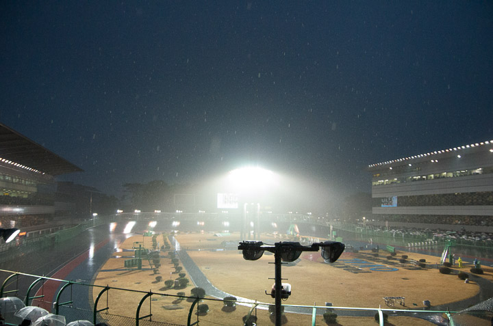 写真でもしっかり映るほどの雨