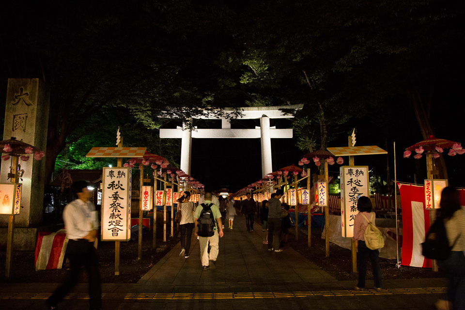 参道を静かに彩る行灯の列と鳥居