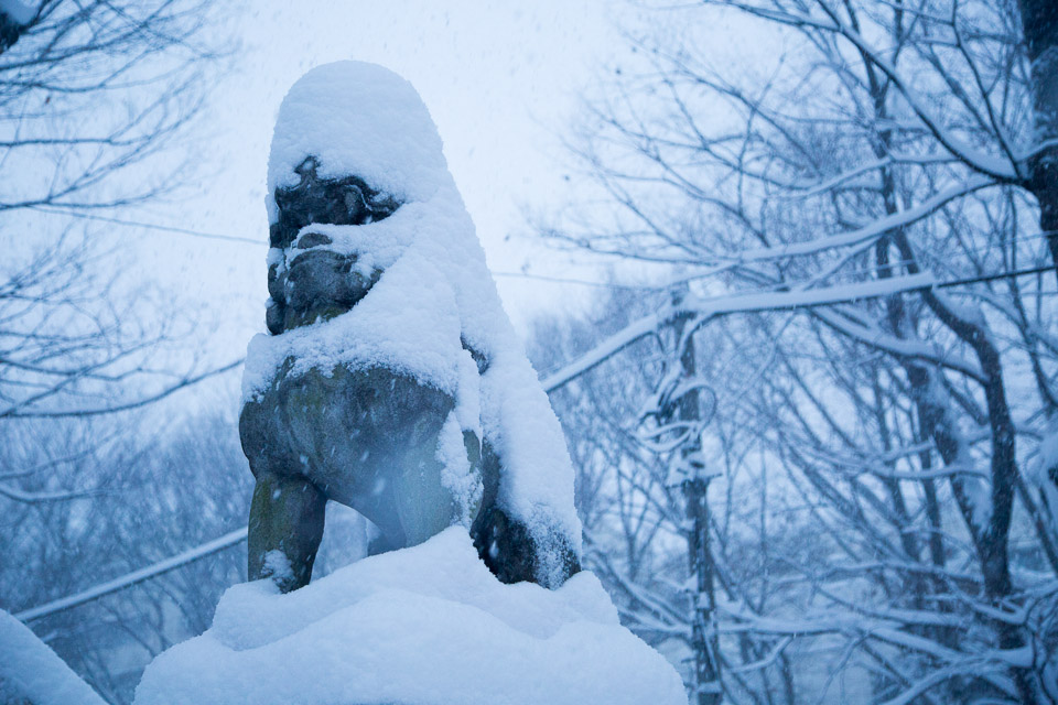 狛犬も雪化粧