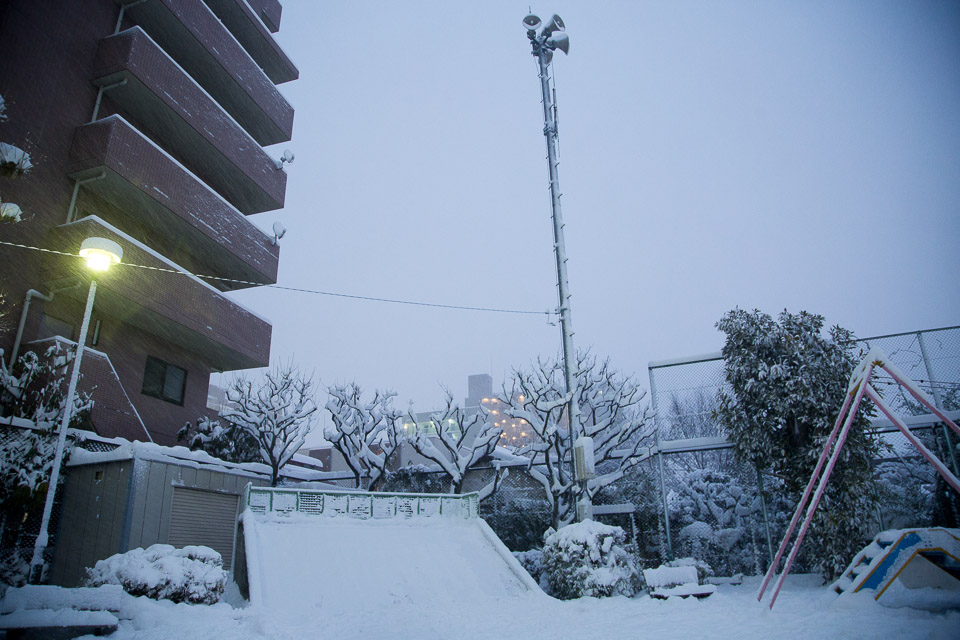 まだまだ雪は降り続いている