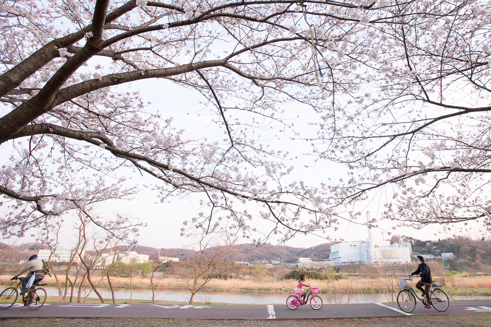 ピンク色の小さな自転車が行く