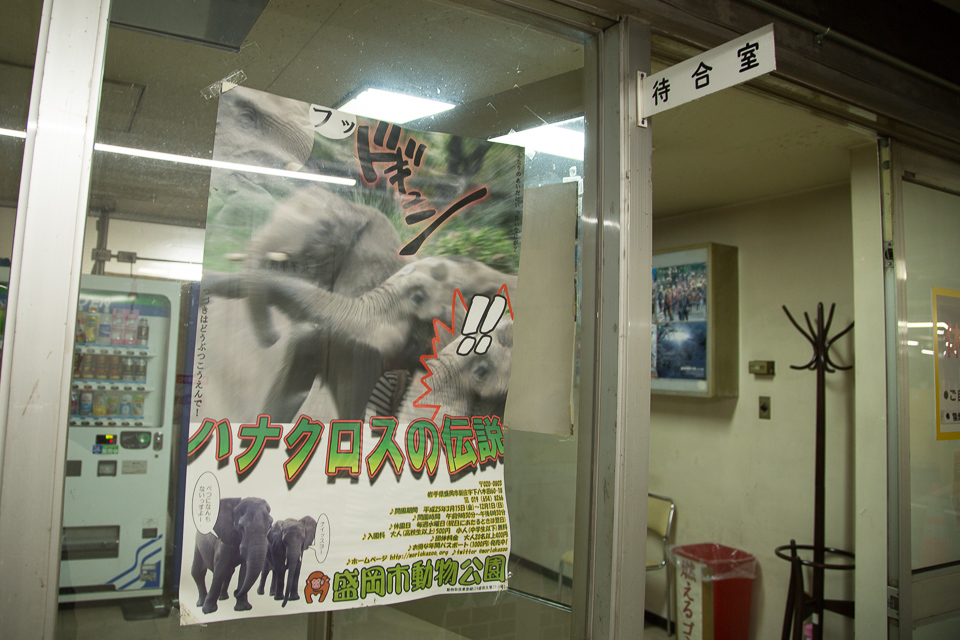 駐車場の待合室にあった盛岡市動物公園のへんてこなポスター。ハナクロスの伝説「フッ」「ドギュン」「!!」「ふたりのあいだにいったいなにが?」「つづきはどうぶつこうえんで!」