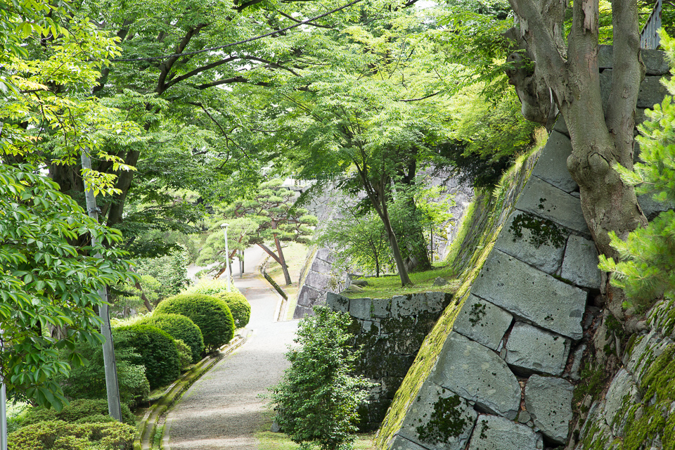 大きな石垣と優しい緑が続く城跡