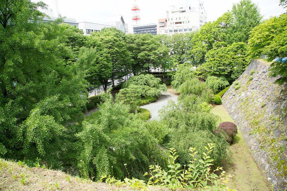 緑豊かな庭園