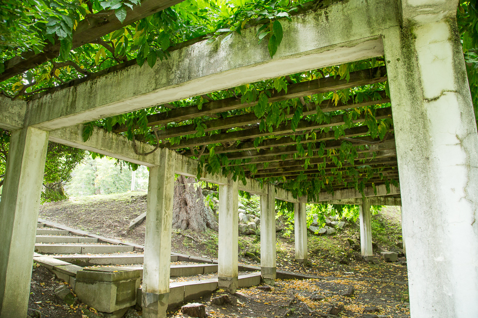 立派な藤棚のアーチ