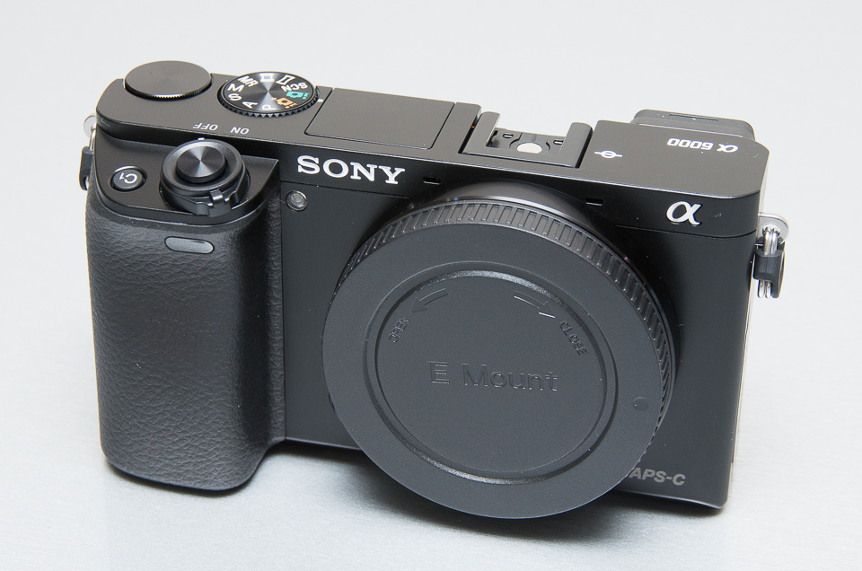Sony α6000 ファーストインプレッション 改善されたUIと高速AFが嬉しいカメラ | 巨大スティッキーズ - Jumbo Stickies