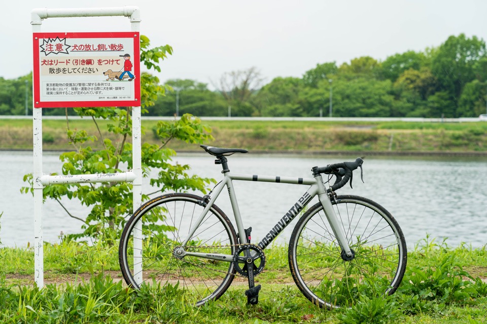 多摩川のほとりでDOSNOVENTAを撮ってきた。予報は晴れとか言ってたのに雨が降った